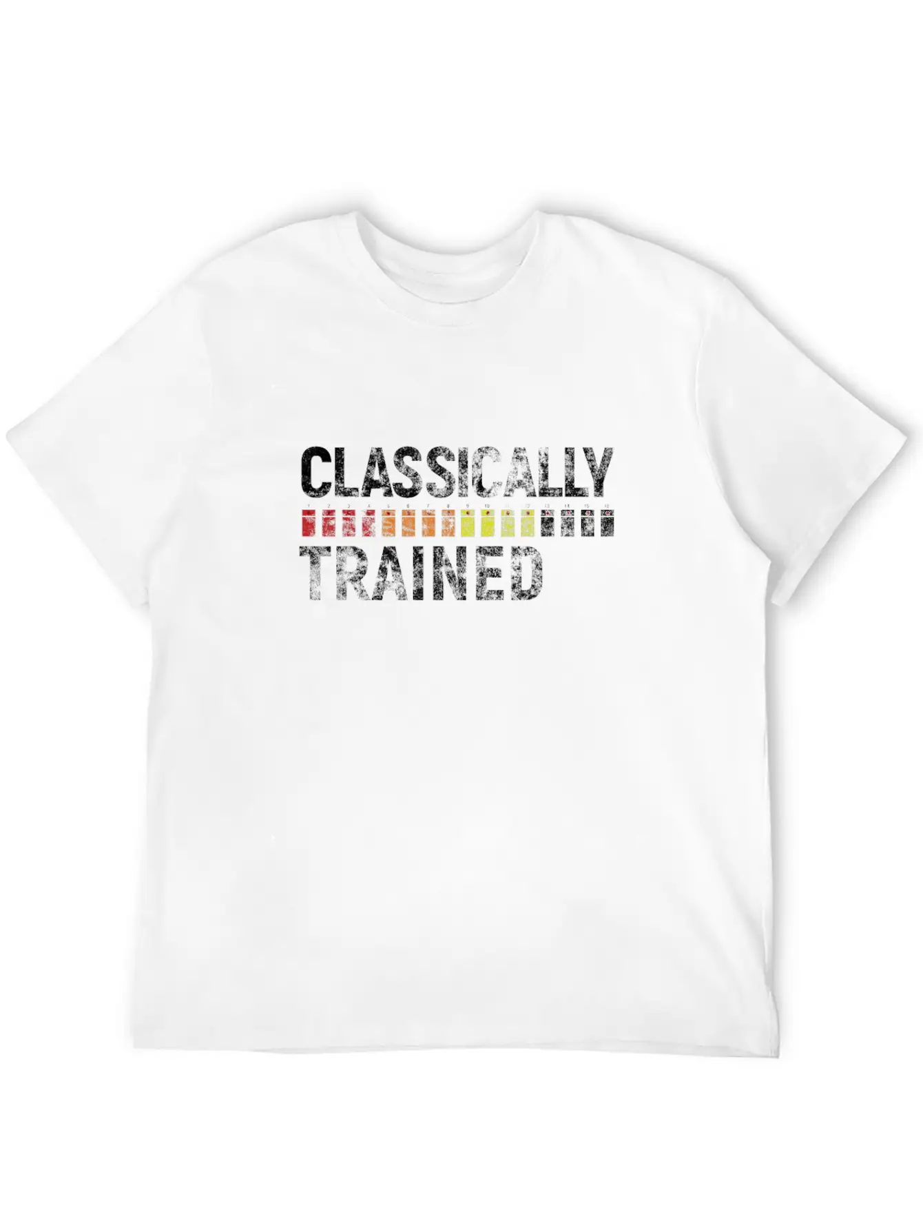 808 Classically Trained Classic Crew Neck Graphic Tee – Everyday Minimal Look