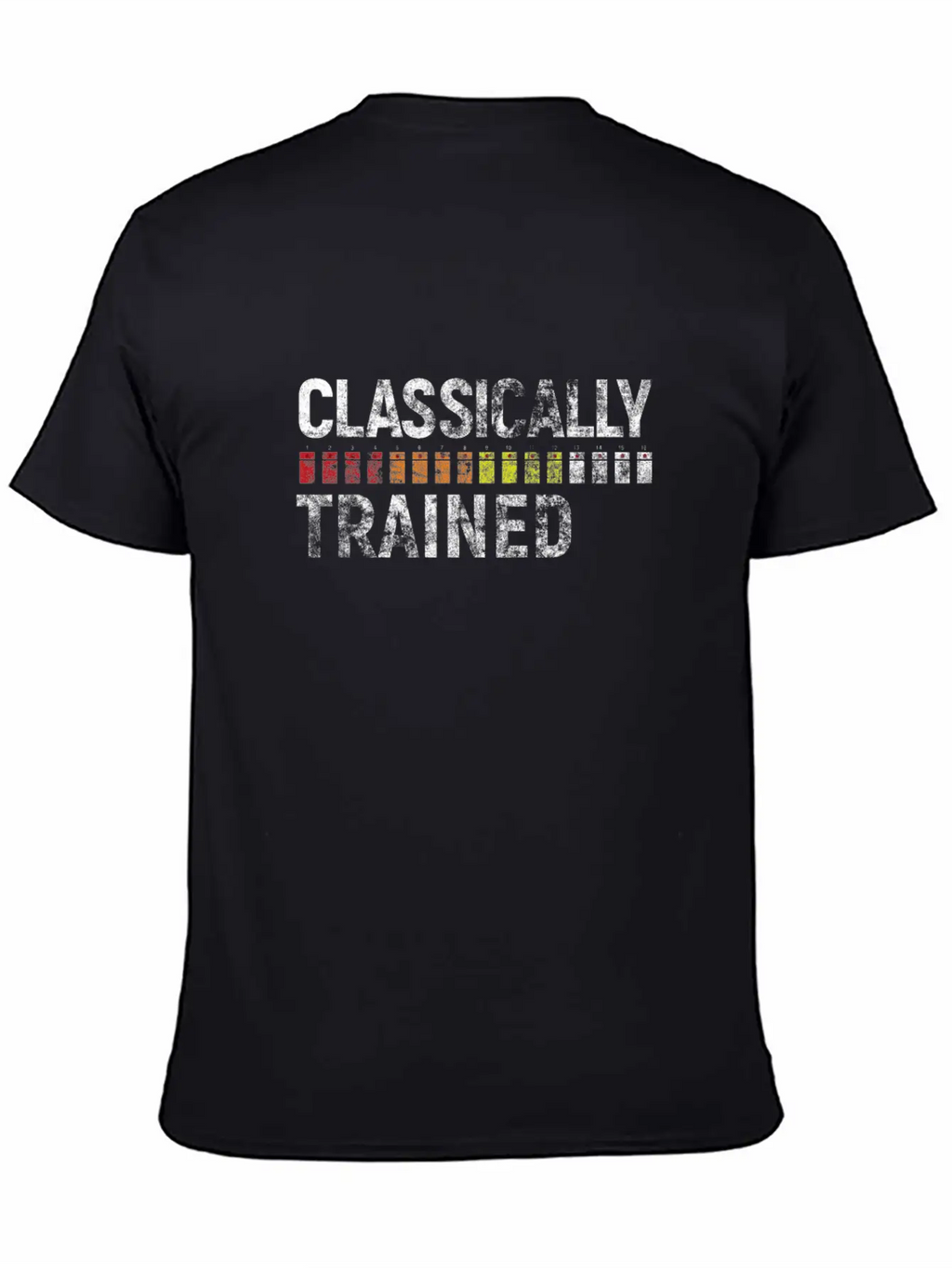 808 Classically Trained Classic Crew Neck Graphic Tee – Everyday Minimal Look