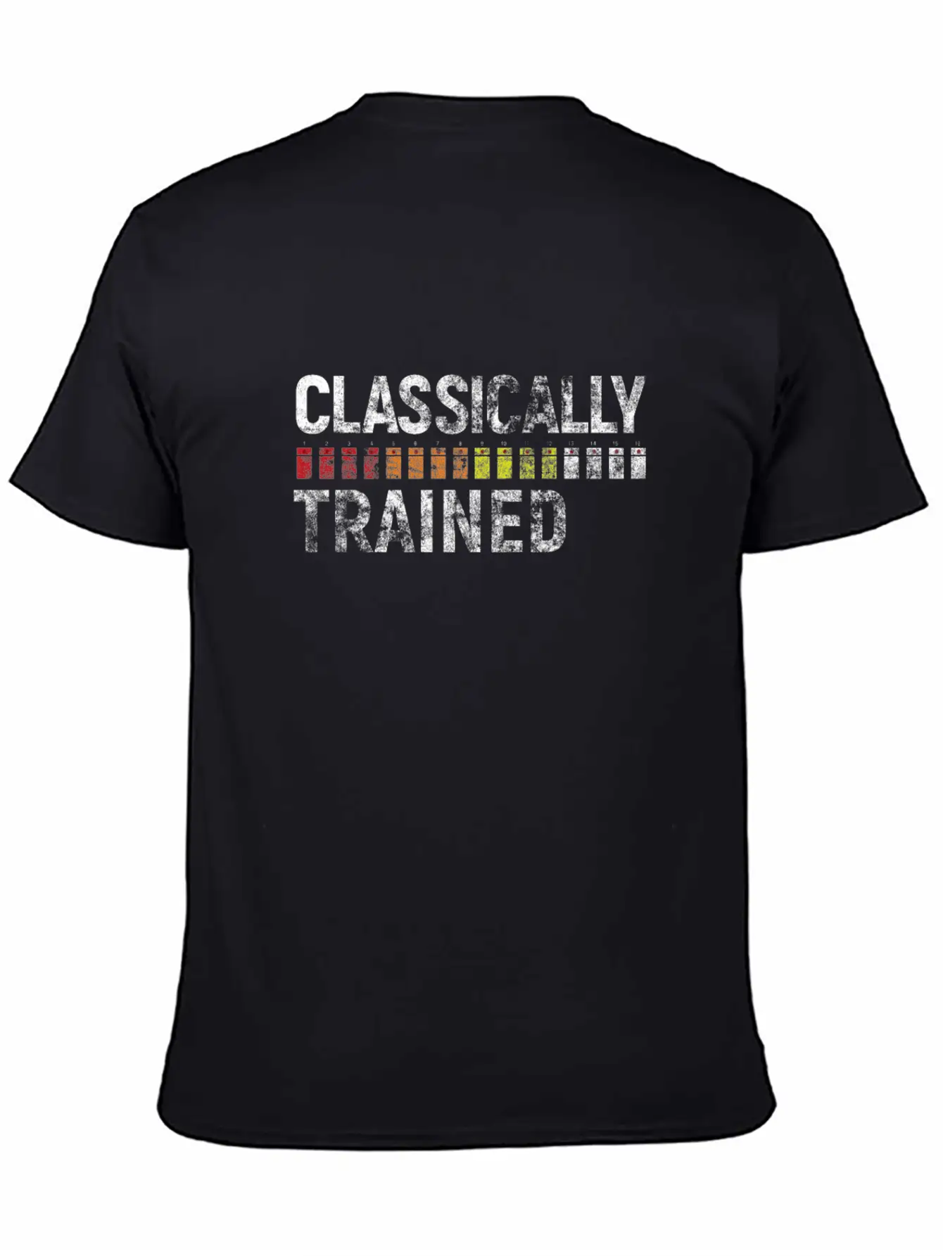 808 Classically Trained Classic Crew Neck Graphic Tee – Everyday Minimal Look