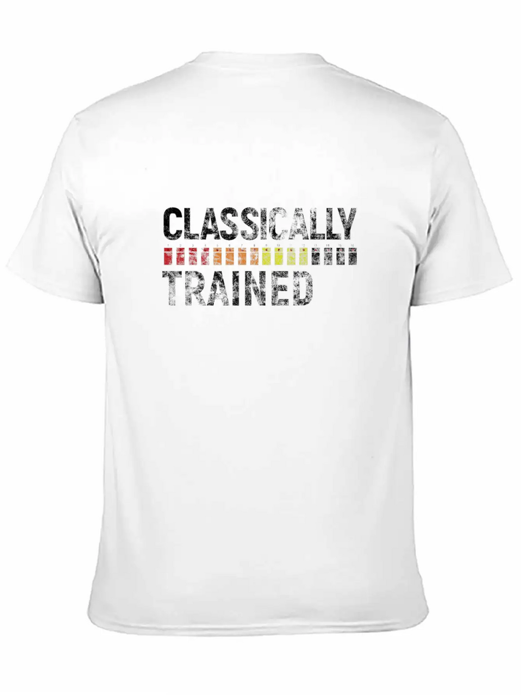 808 Classically Trained Classic Crew Neck Graphic Tee – Everyday Minimal Look
