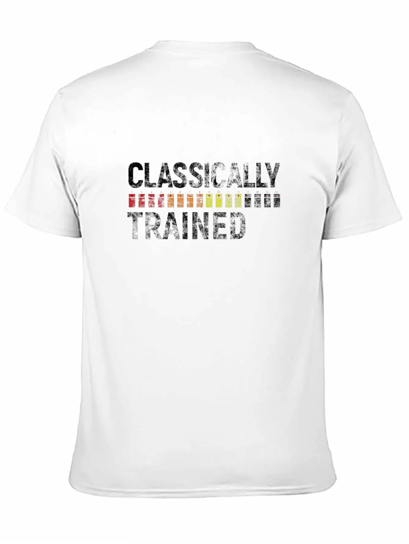 808 Classically Trained Classic Crew Neck Graphic Tee – Everyday Minimal Look