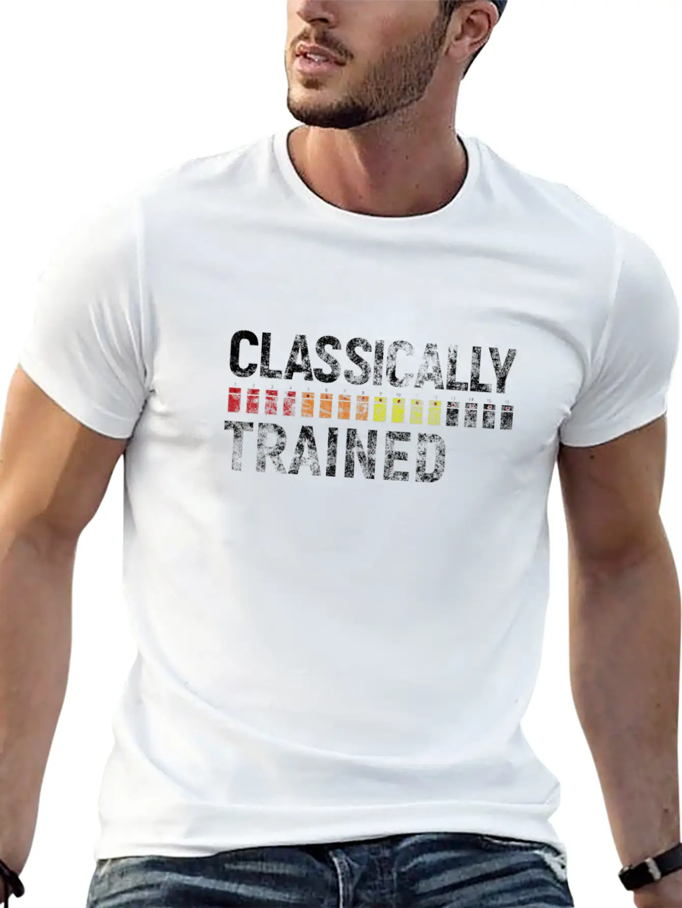 808 Classically Trained Classic Crew Neck Graphic Tee – Everyday Minimal Look