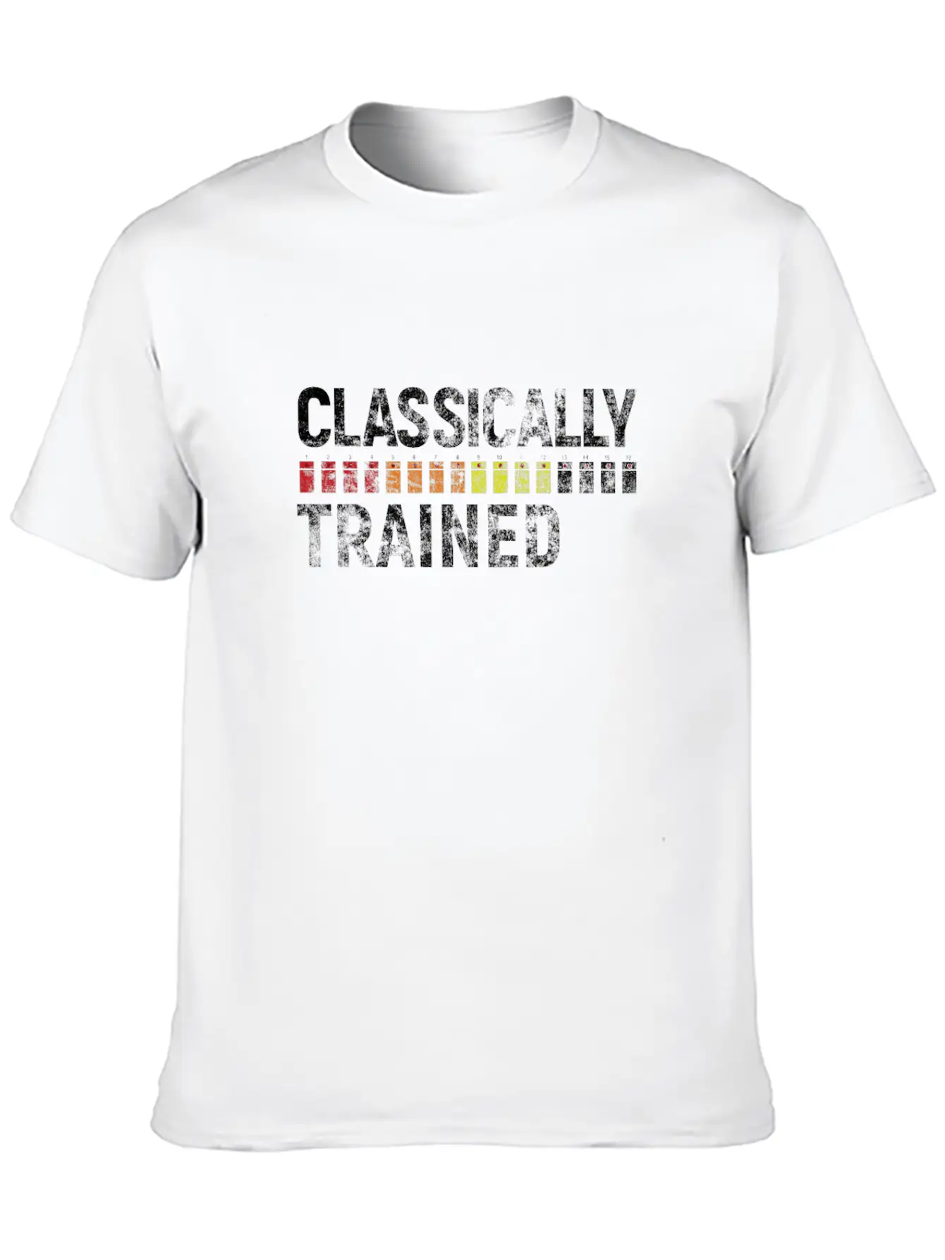 808 Classically Trained Classic Crew Neck Graphic Tee – Everyday Minimal Look