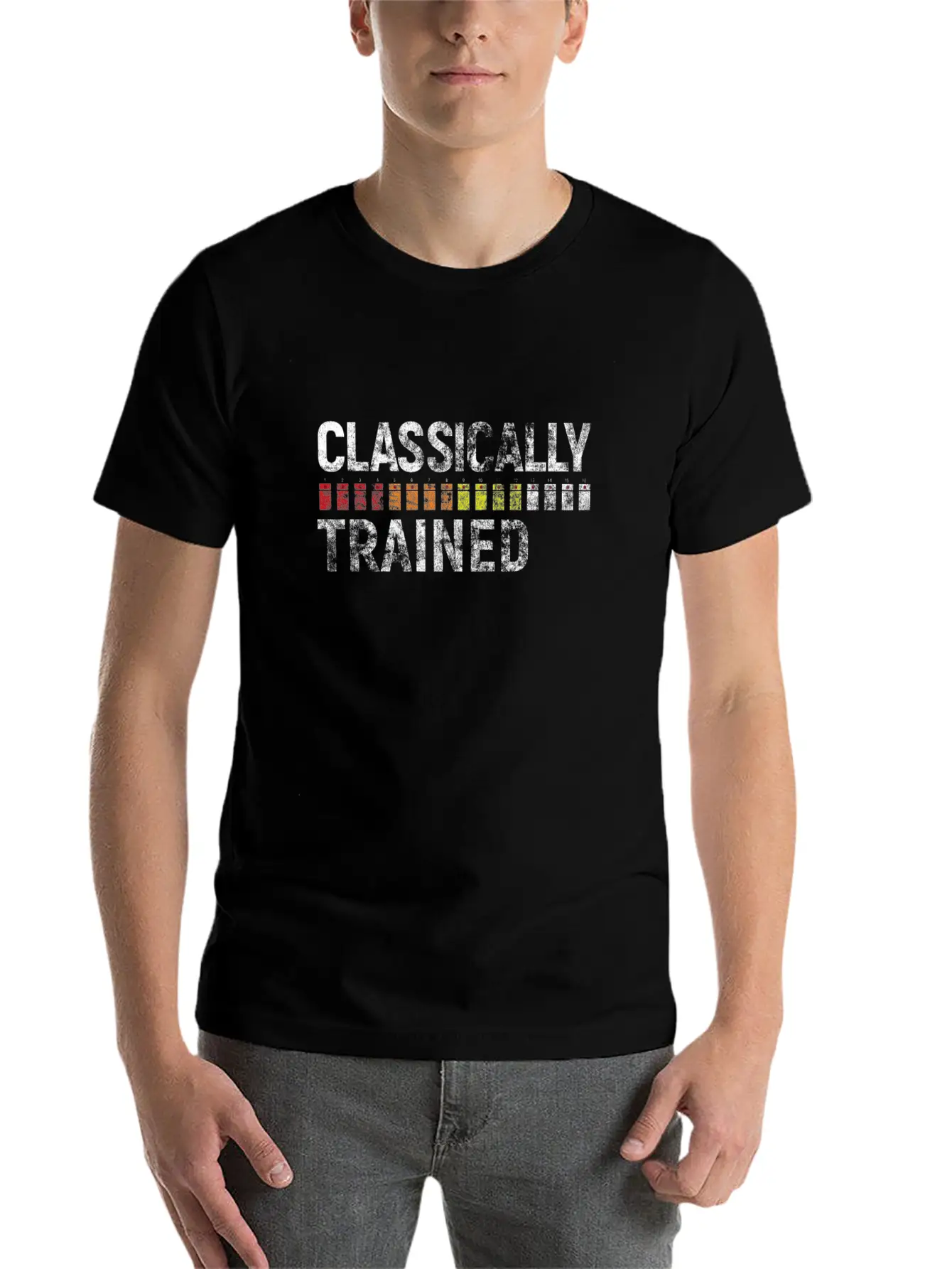 808 Classically Trained Classic Crew Neck Graphic Tee – Everyday Minimal Look