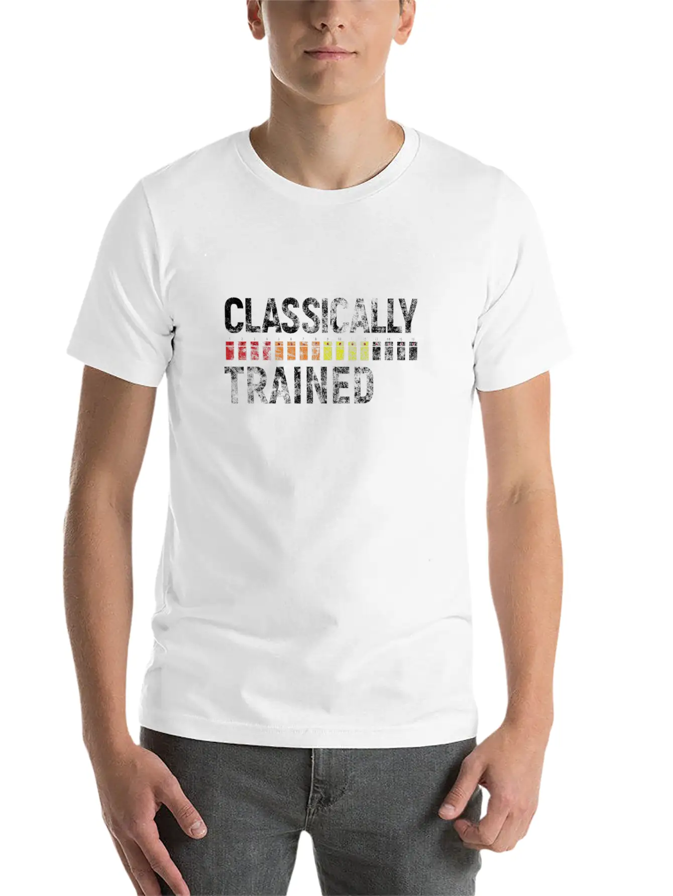 808 Classically Trained Classic Crew Neck Graphic Tee – Everyday Minimal Look